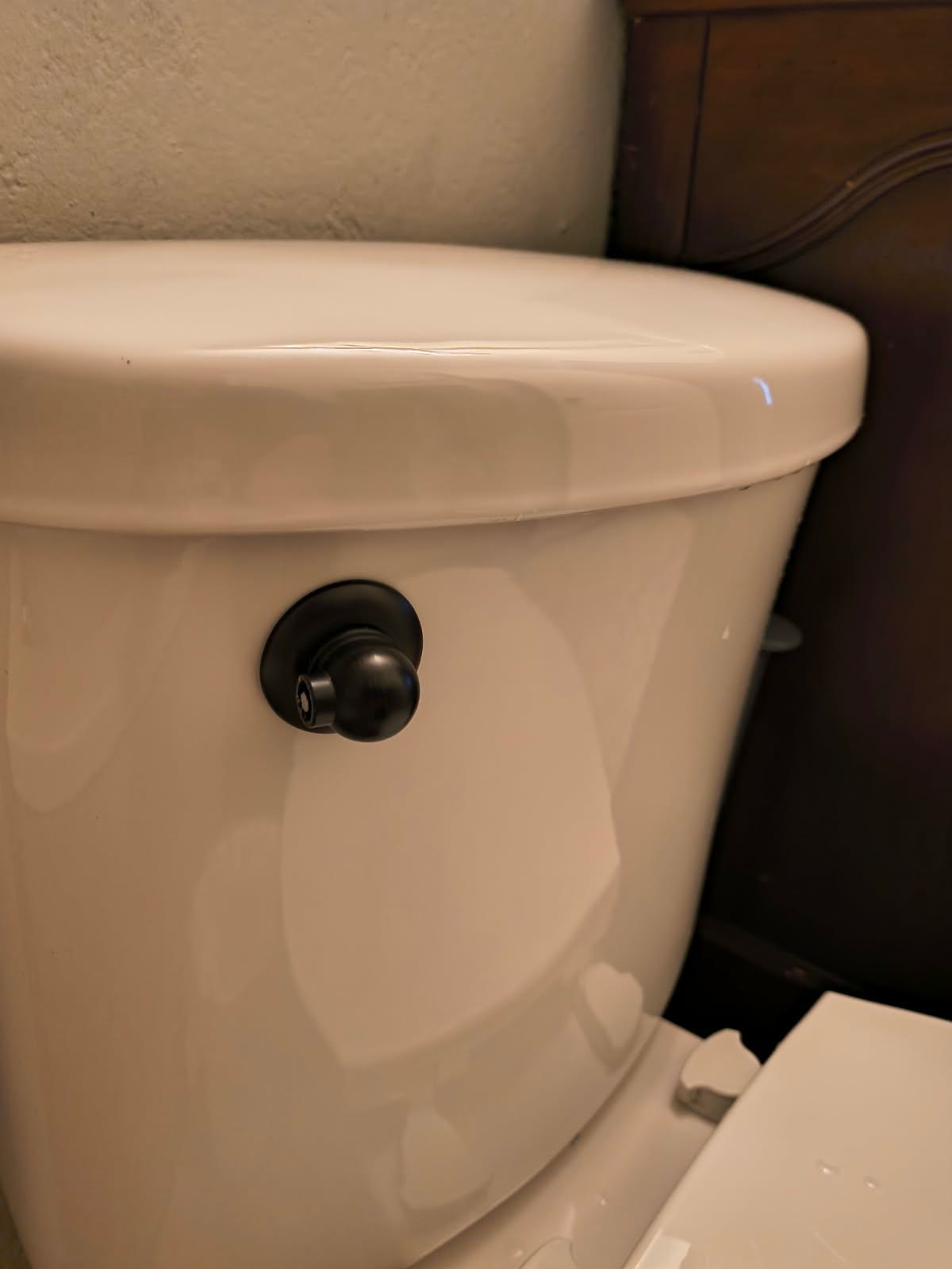 Push button toilet flush