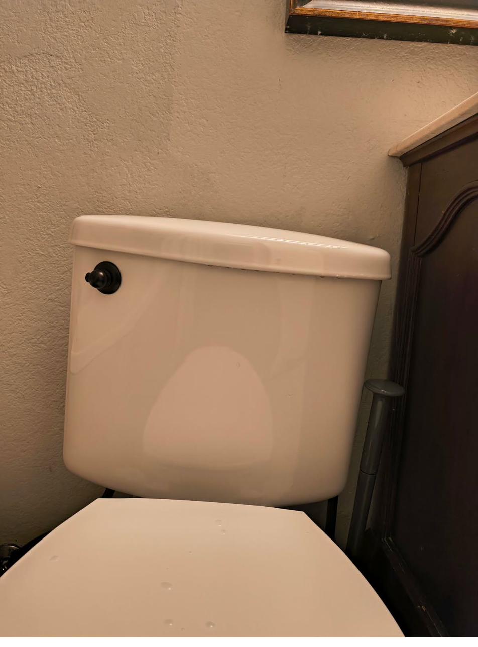 Bronze handle toilet